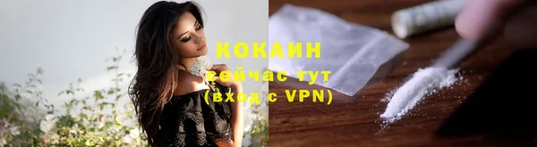 ешки Вязьма