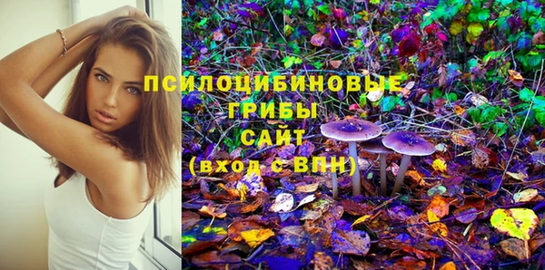 ешки Вязьма