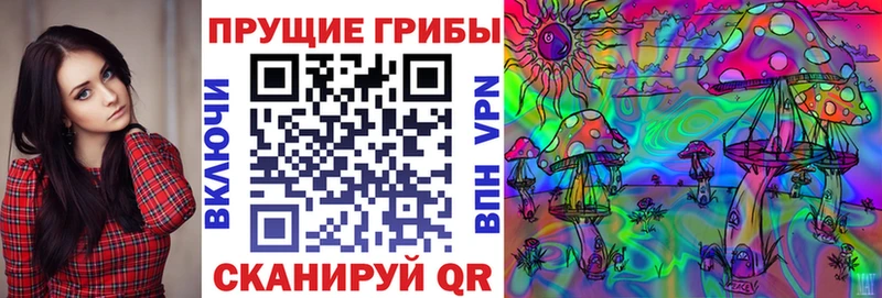 Псилоцибиновые грибы мицелий  купить   Долинск 